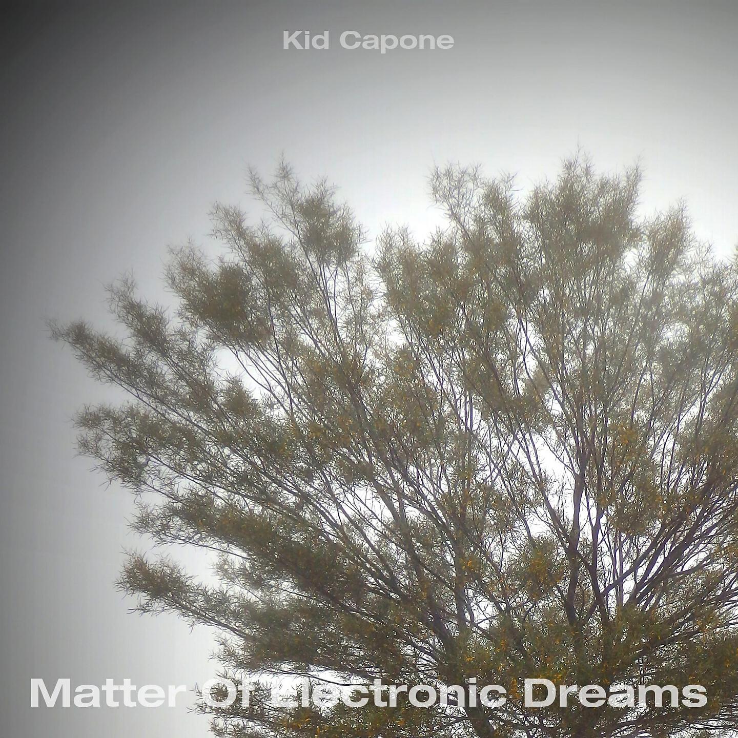 Kid Capone - Braid