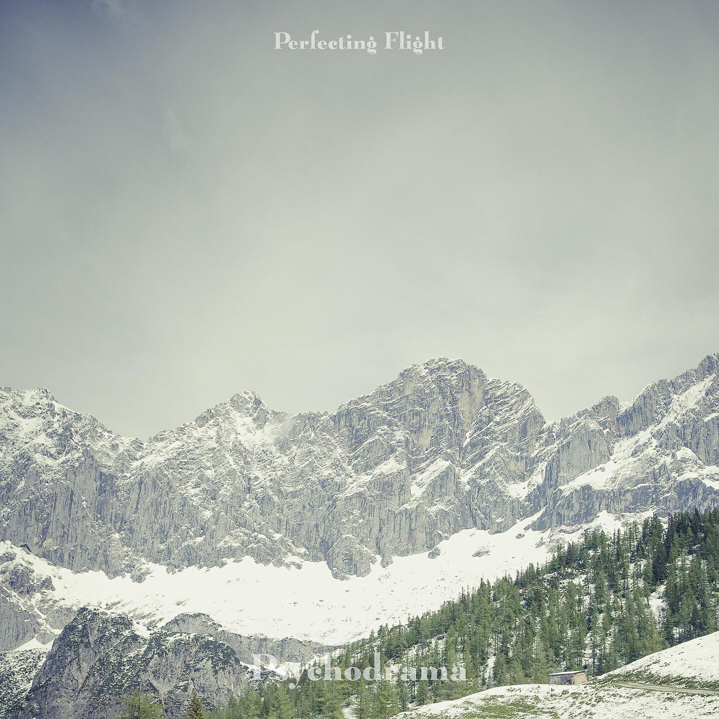 Perfecting Flight - Dirty Politics