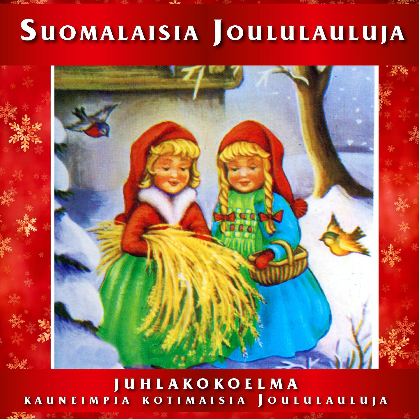 Markku Laamanen - Kuusessa ollaan
