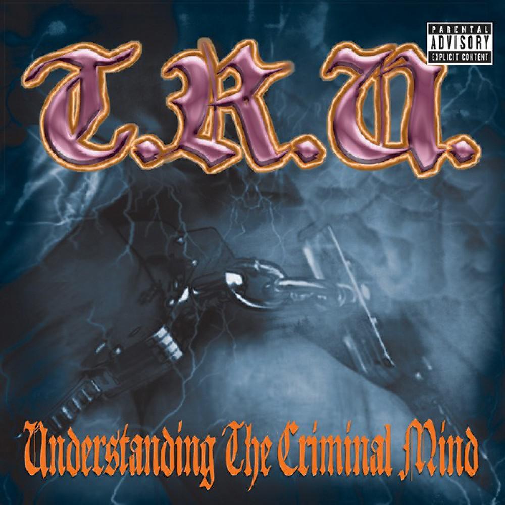 Постер альбома Understanding The Criminal Mind