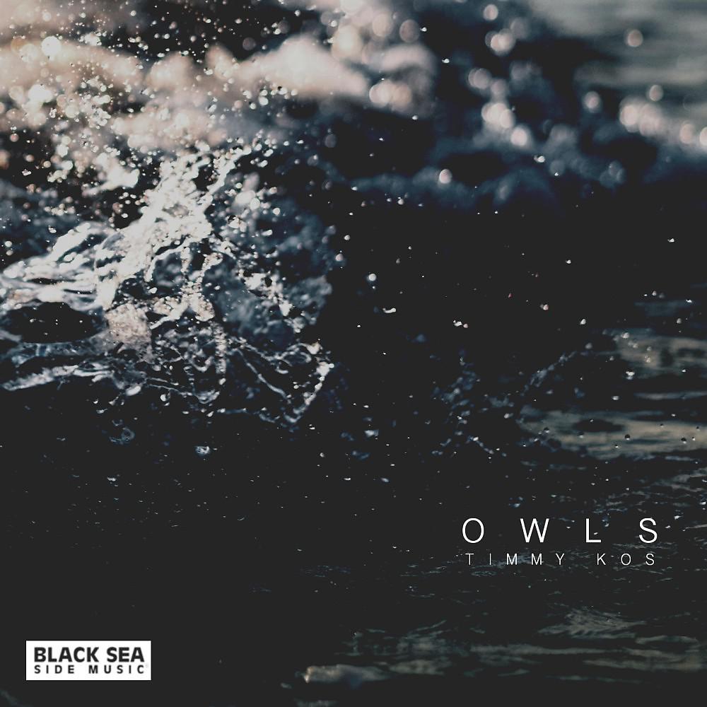 Постер альбома Owls