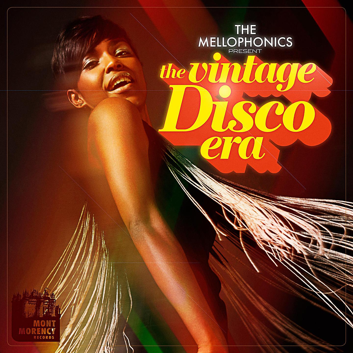 Постер альбома The Vintage Disco Era