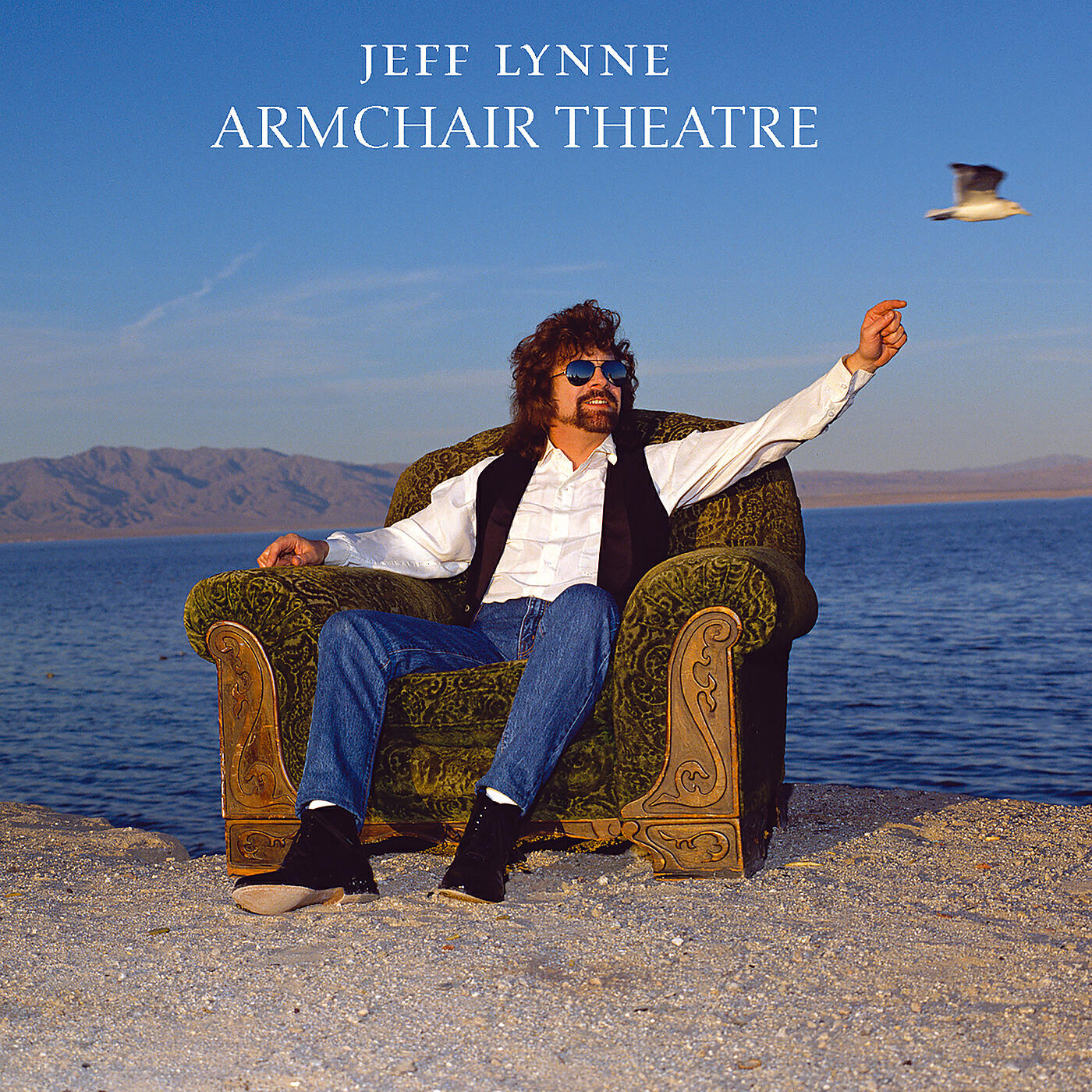 Jeff Lynne - Every Little Thing