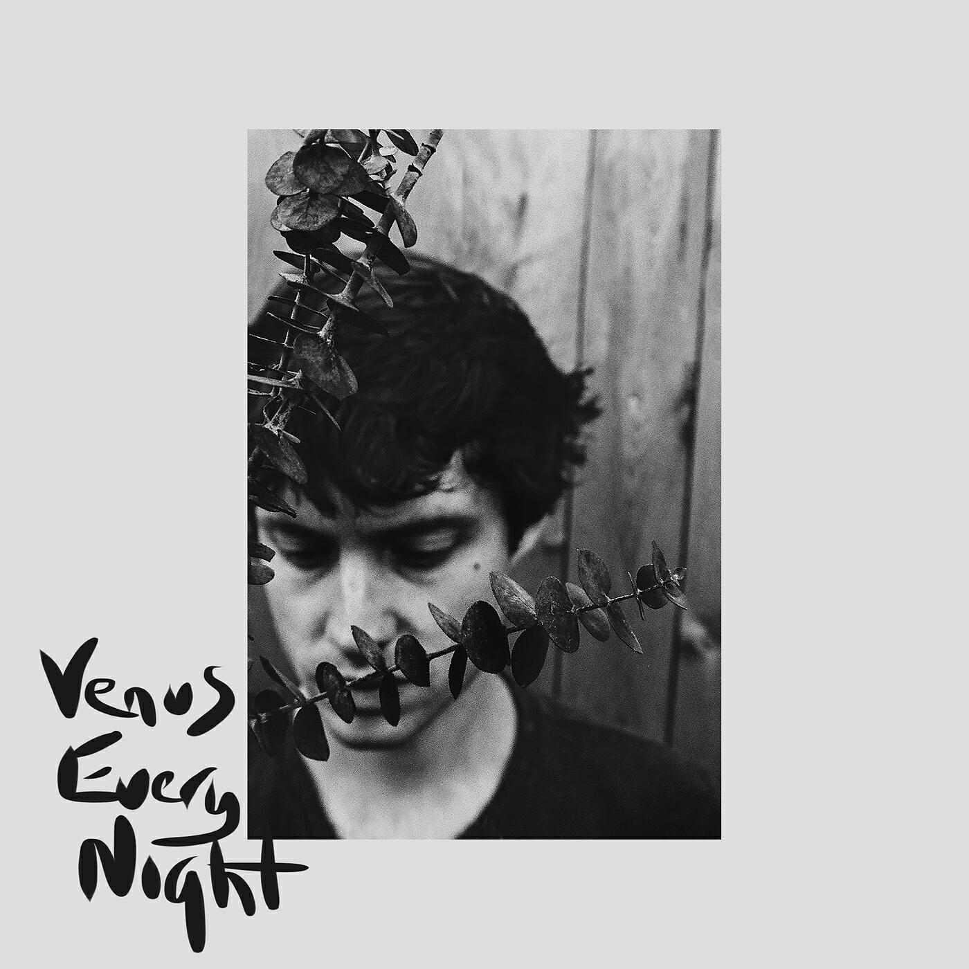 Tom Gallo - Venus Every Night