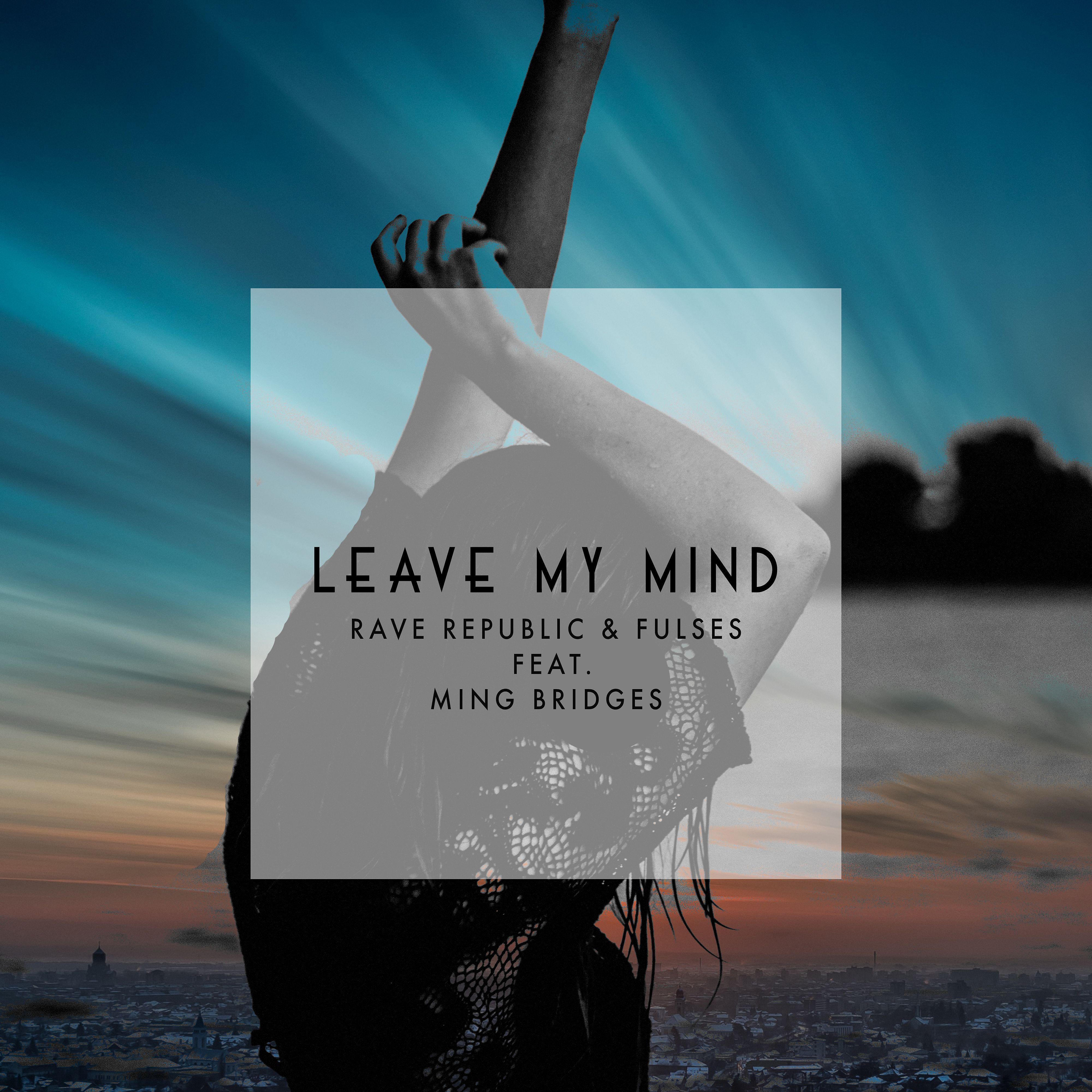 Постер альбома Leave My Mind (feat. Ming Bridges)