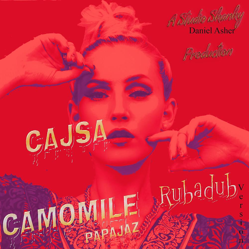 Постер альбома Rub-A-Dub (Studio Skanky Version)