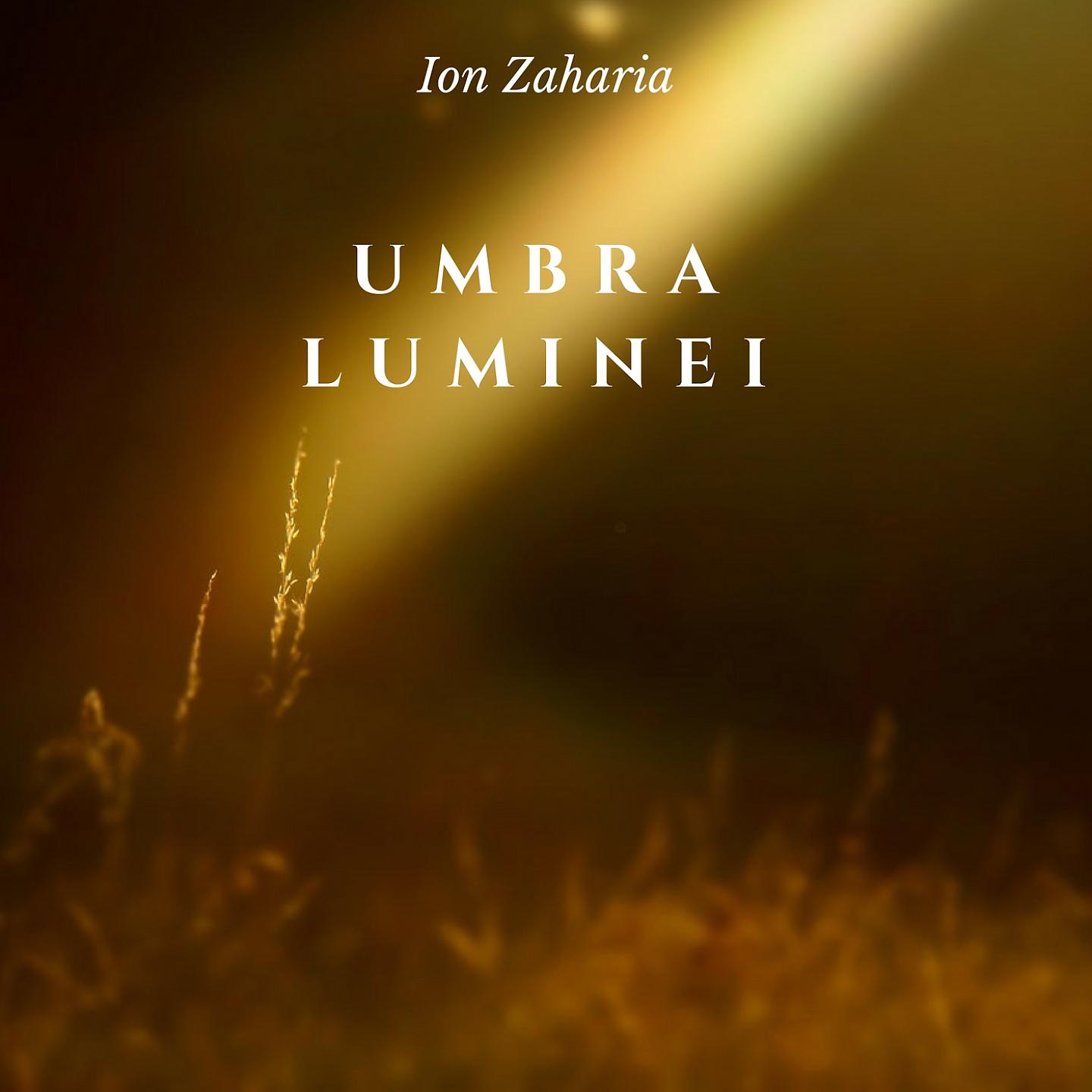 Постер альбома Umbra Luminei
