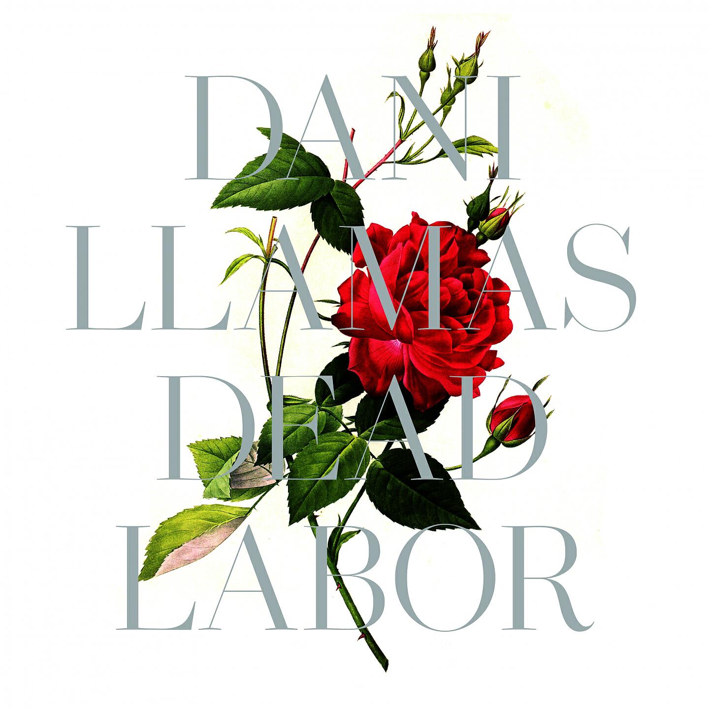 Dani Llamas - Come in Harms's Way