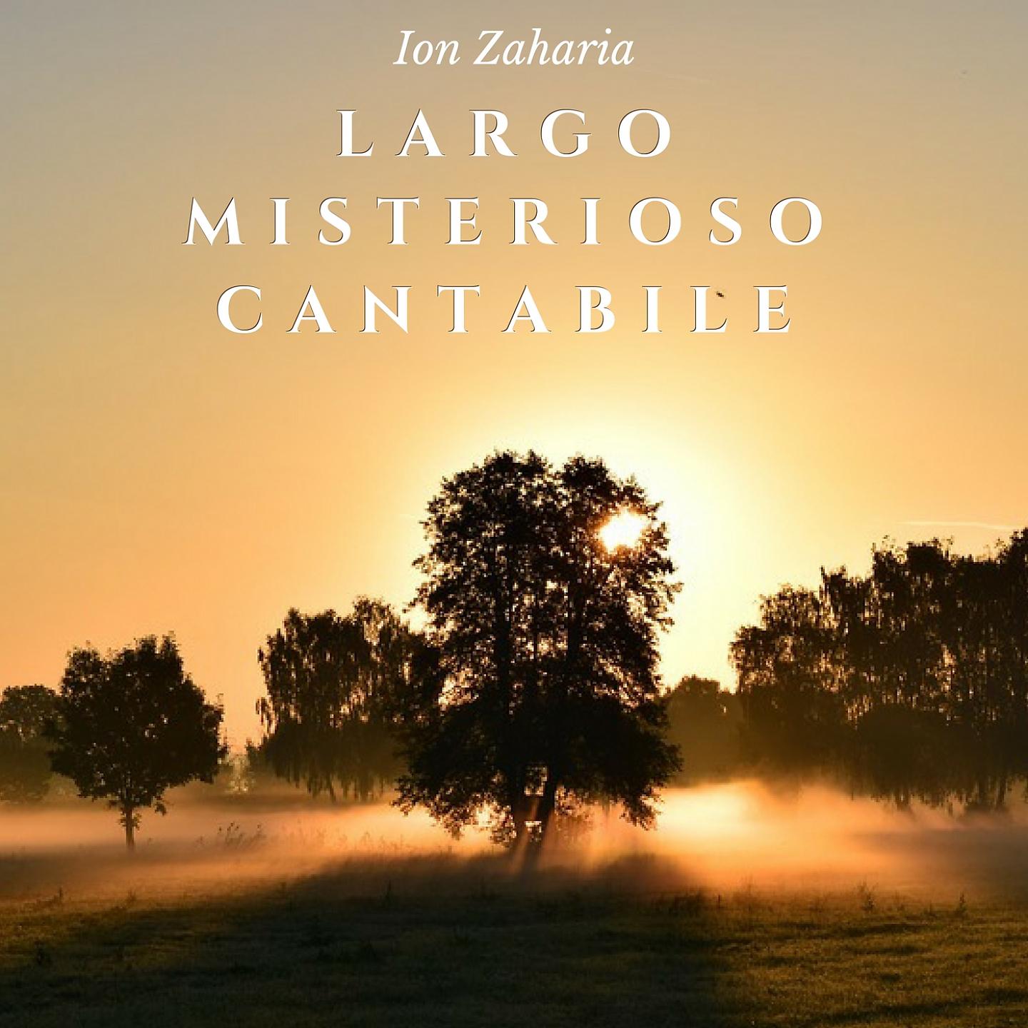 Постер альбома Largo misterioso cantabile