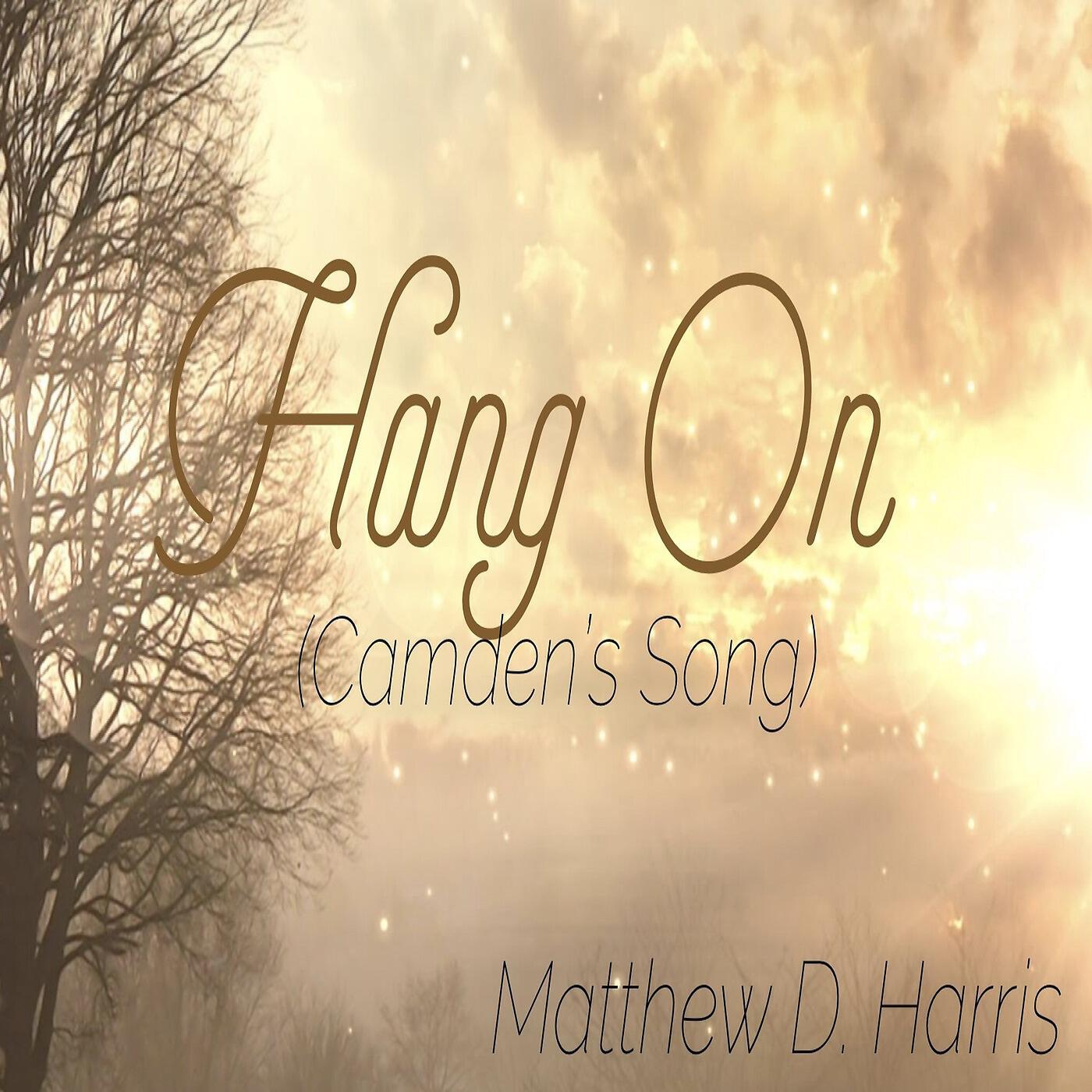 Matt D. Harris - Hang on (Camden's Song)