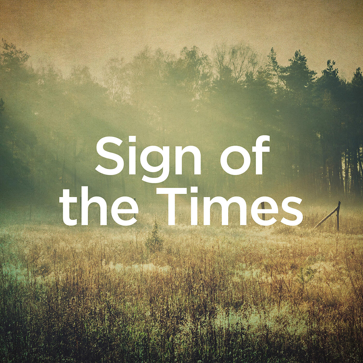 Michael Forster - Sign of the Times (Piano Version)