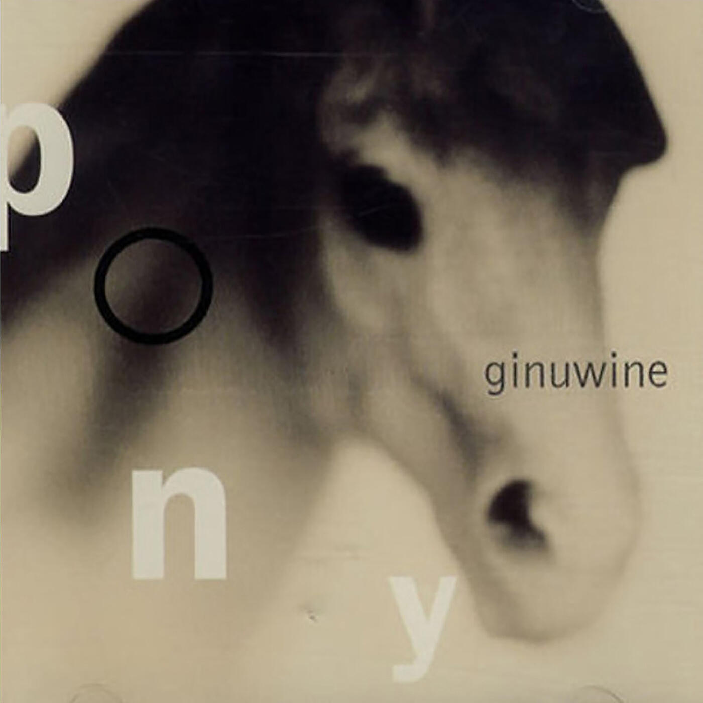 Ginuwine - Pony (Extended Mix)