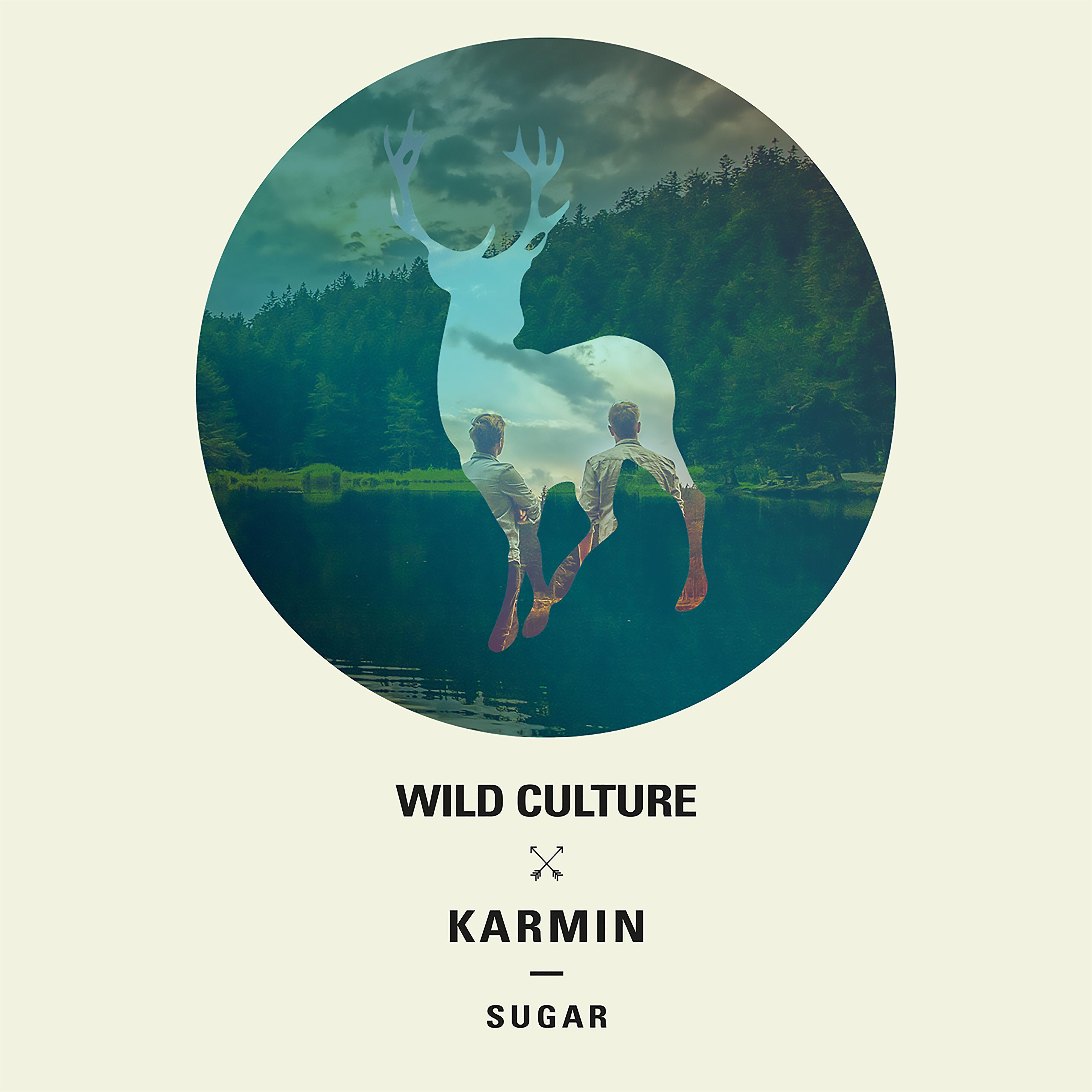 Wild Culture - Sugar (Wild Culture vs. Karmin) [Extended Mix] (Wild Culture vs. Karmin;Extended Mix)