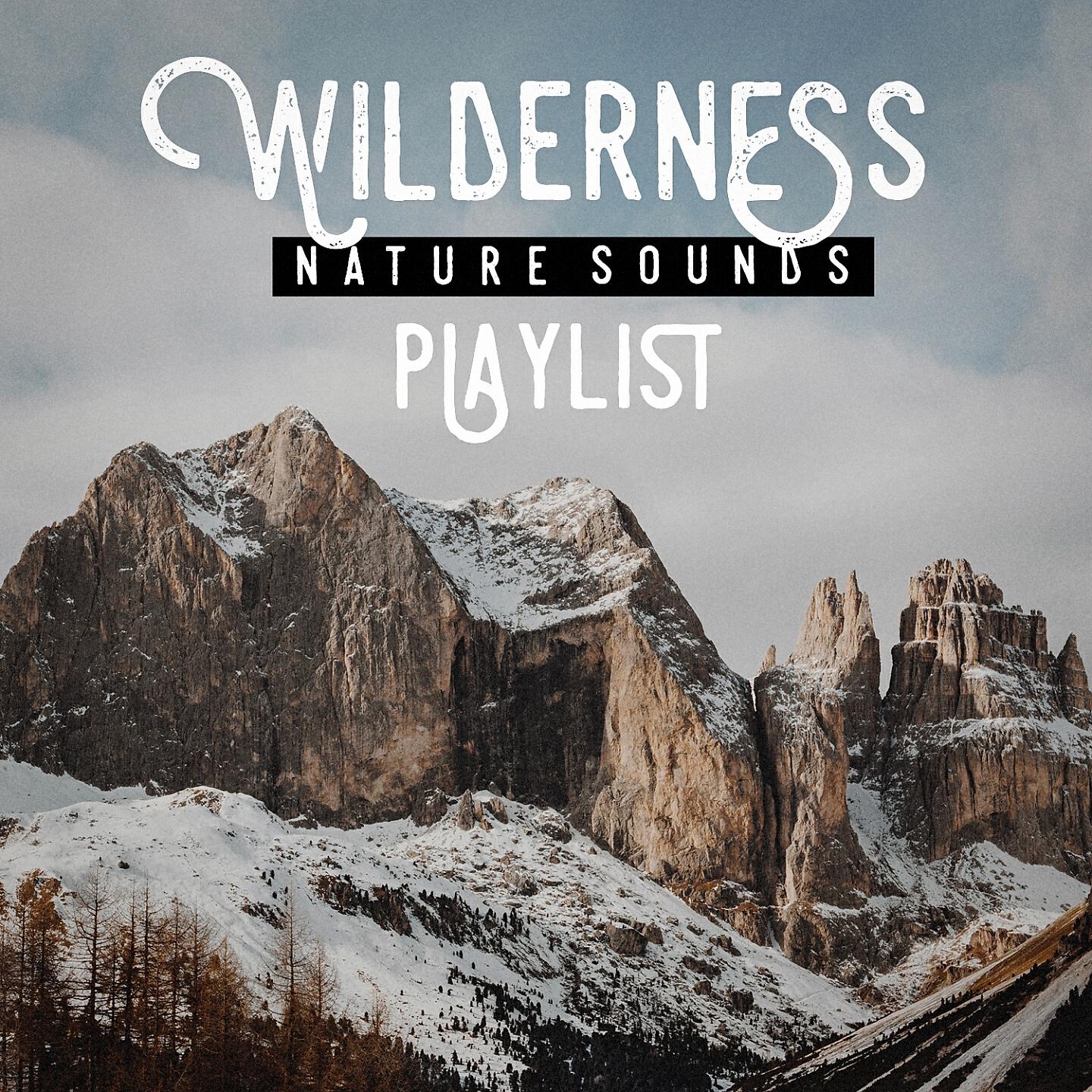 Echoes Of Nature - Being calm and relaxed