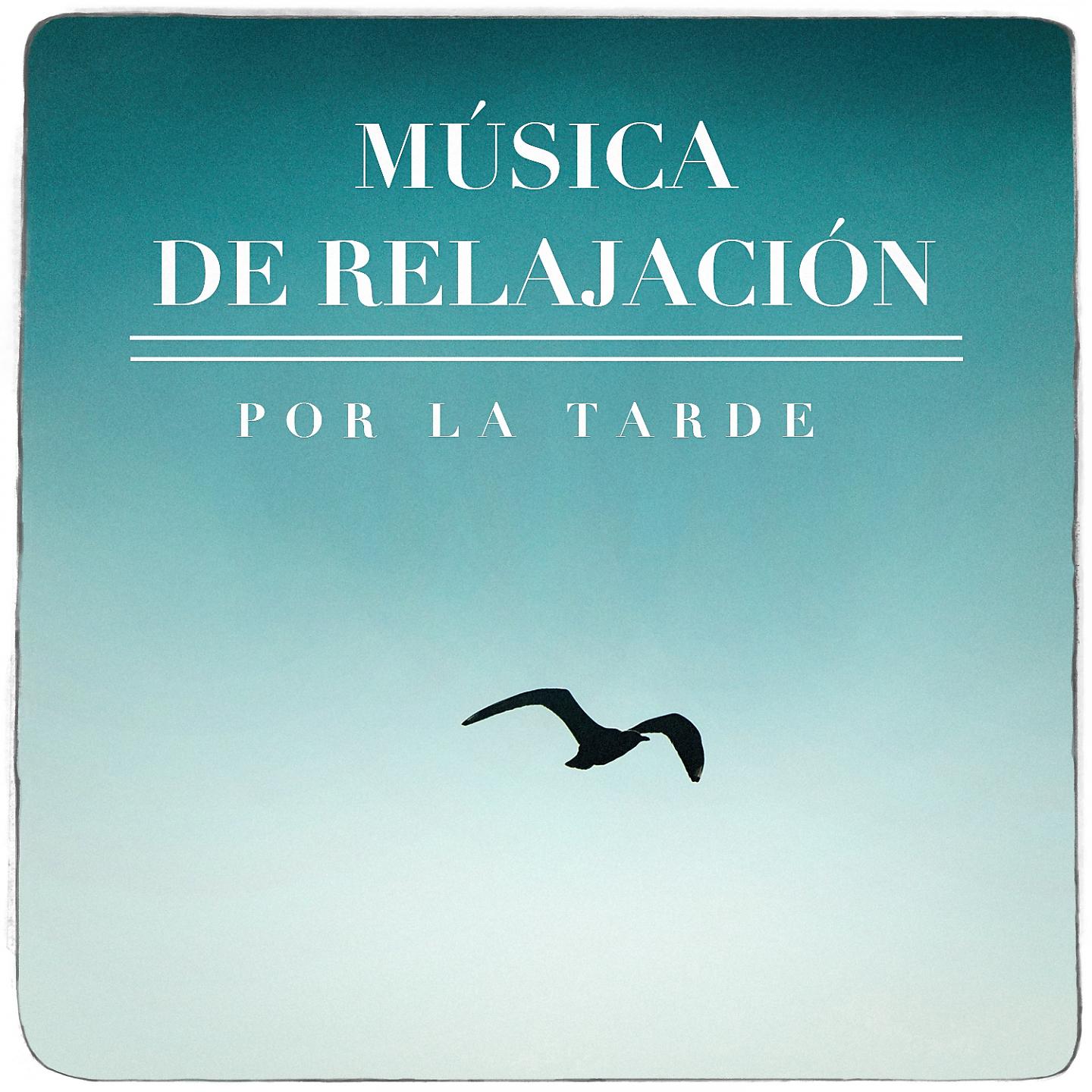 Постер альбома Música De Relalación Por La Tarde