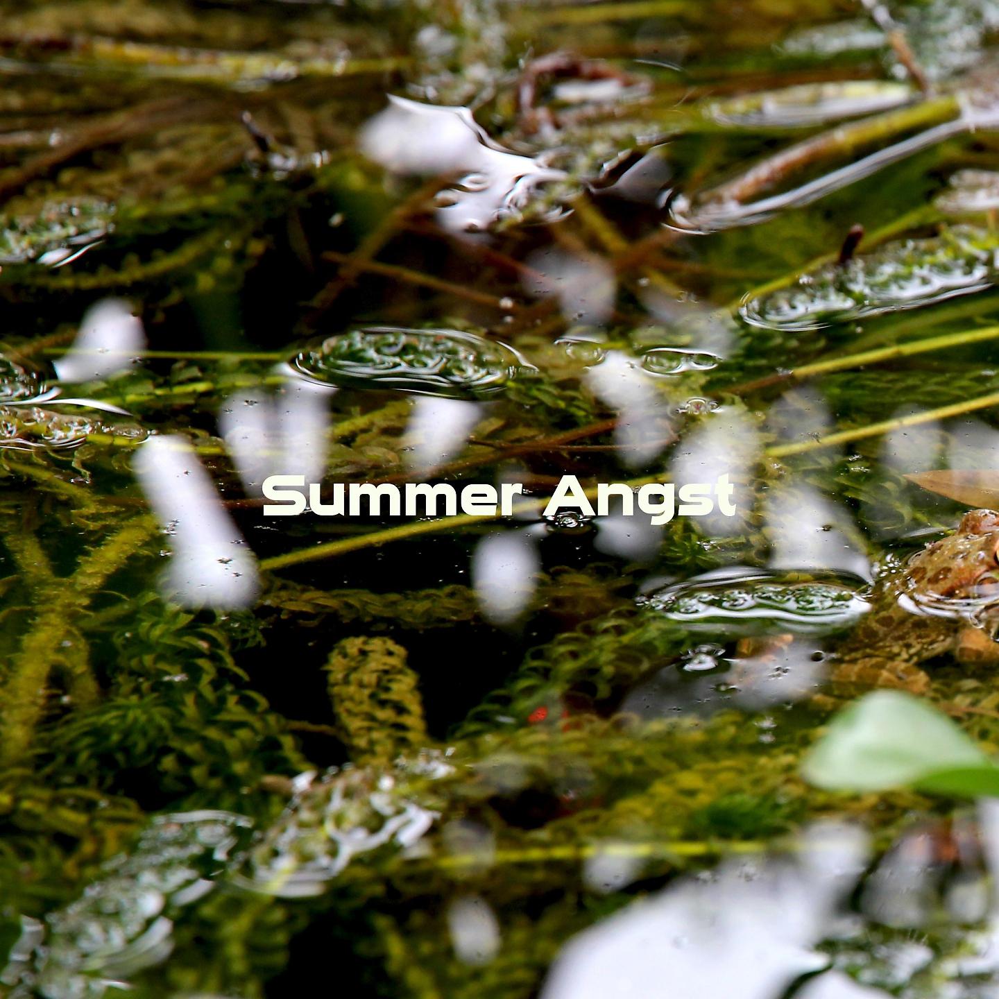 Постер альбома Summer Angst