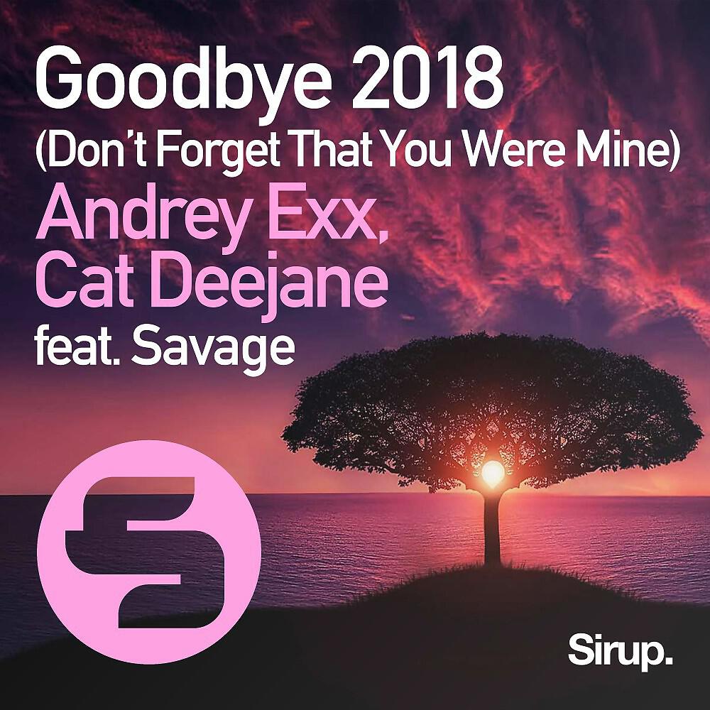 Andrey Exx - Goodbye (Don't Forget That You Were Mine) 2018