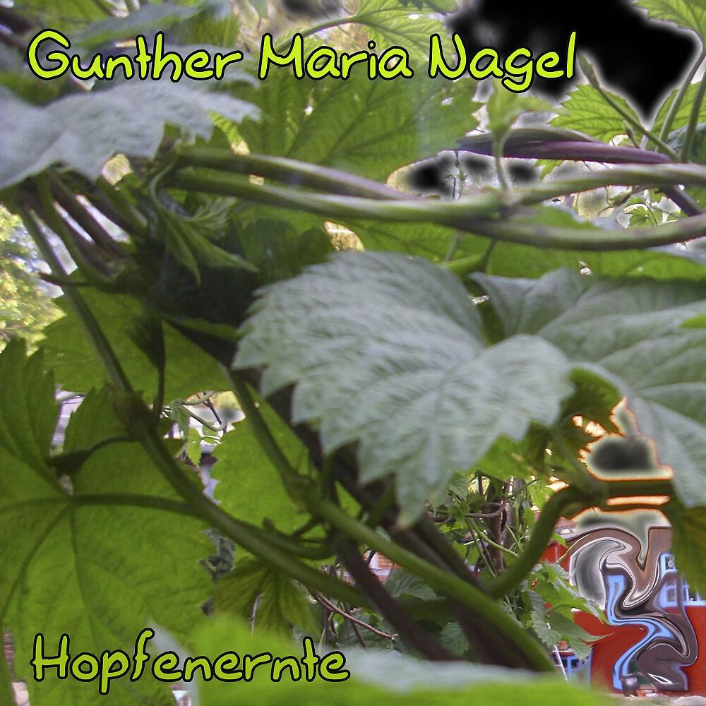 Gunther Maria Nagel - Aufruhr im Harem