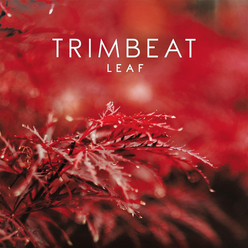 Trimbeat - We Are (Main Export)
