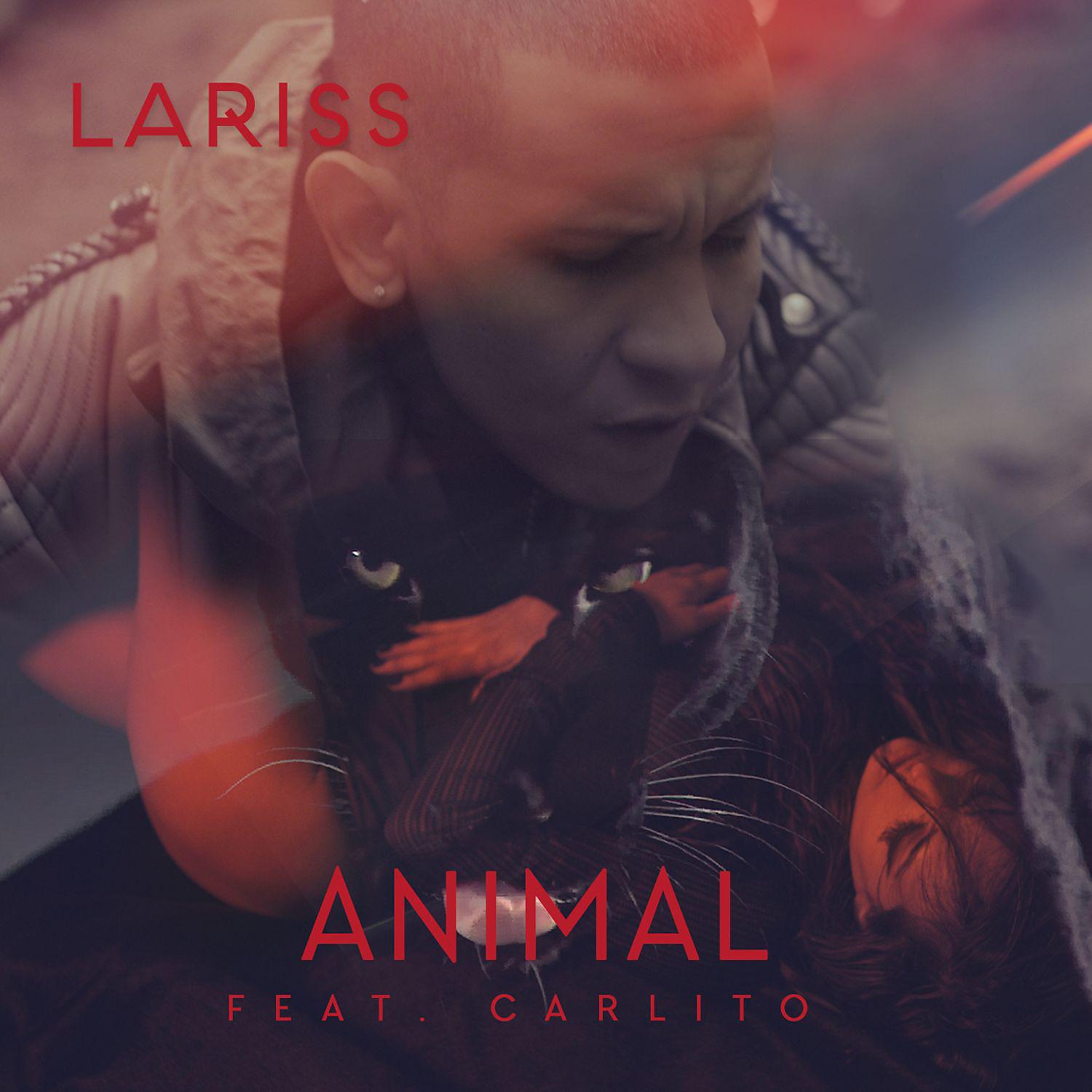 Постер альбома Animal (feat. Carlito)