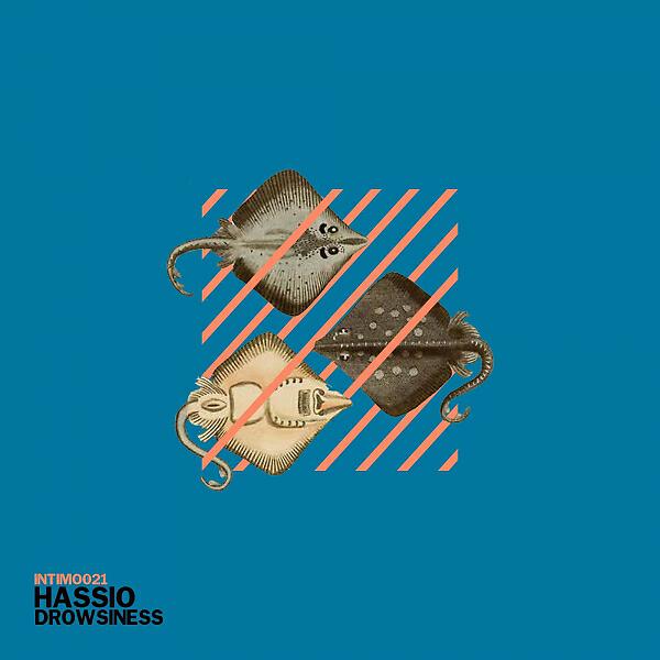 HASSIO (COL) - Gamo