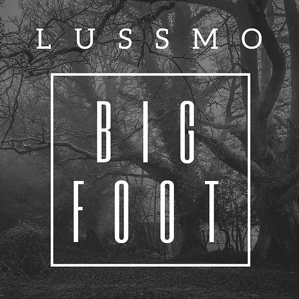 Постер альбома Big Foot