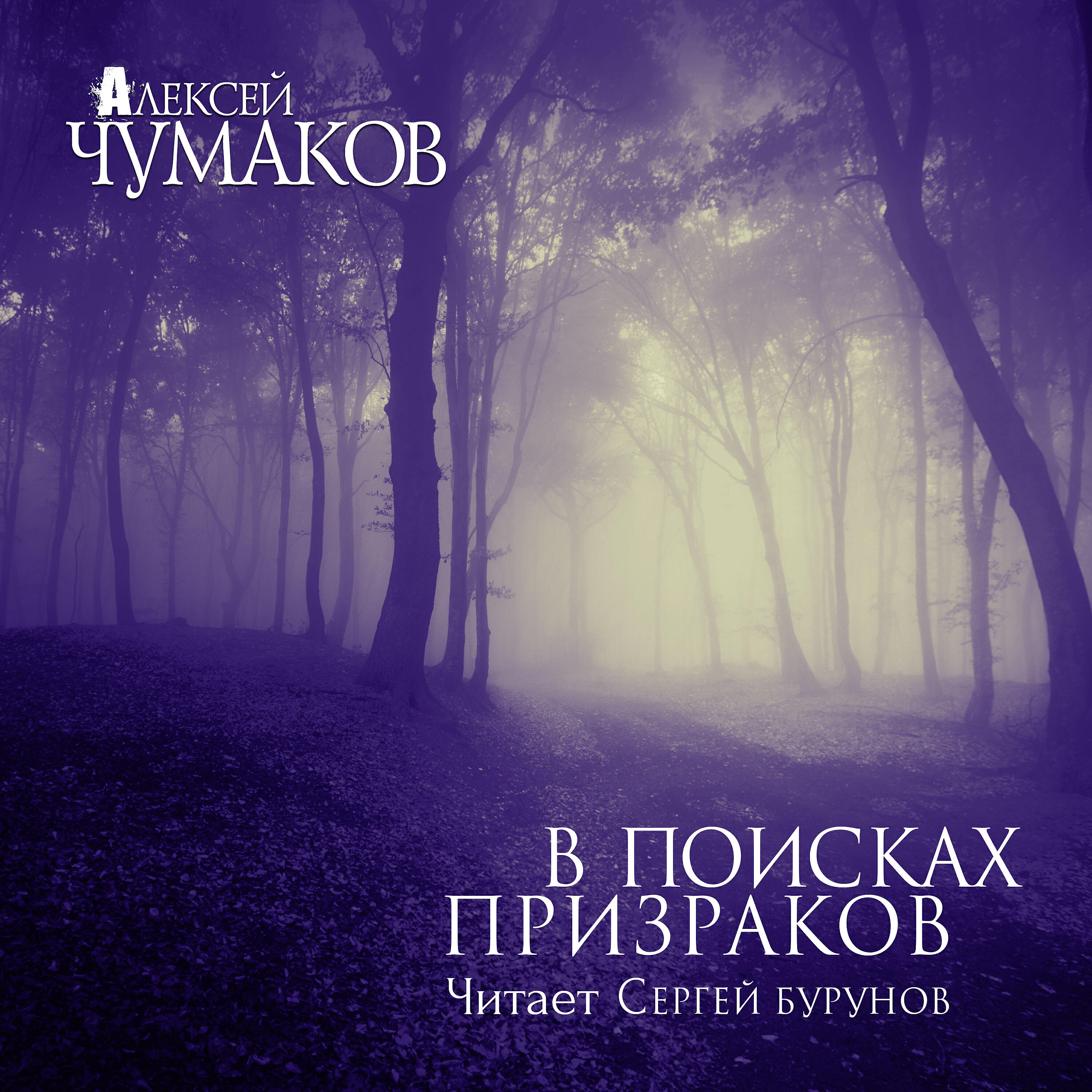Сергей Бурунов - Парижская весна (Глава 2. Дорога)