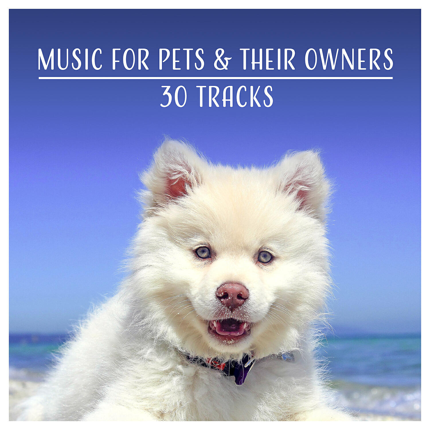 Calm Pets Music Academy - Stress Reduction