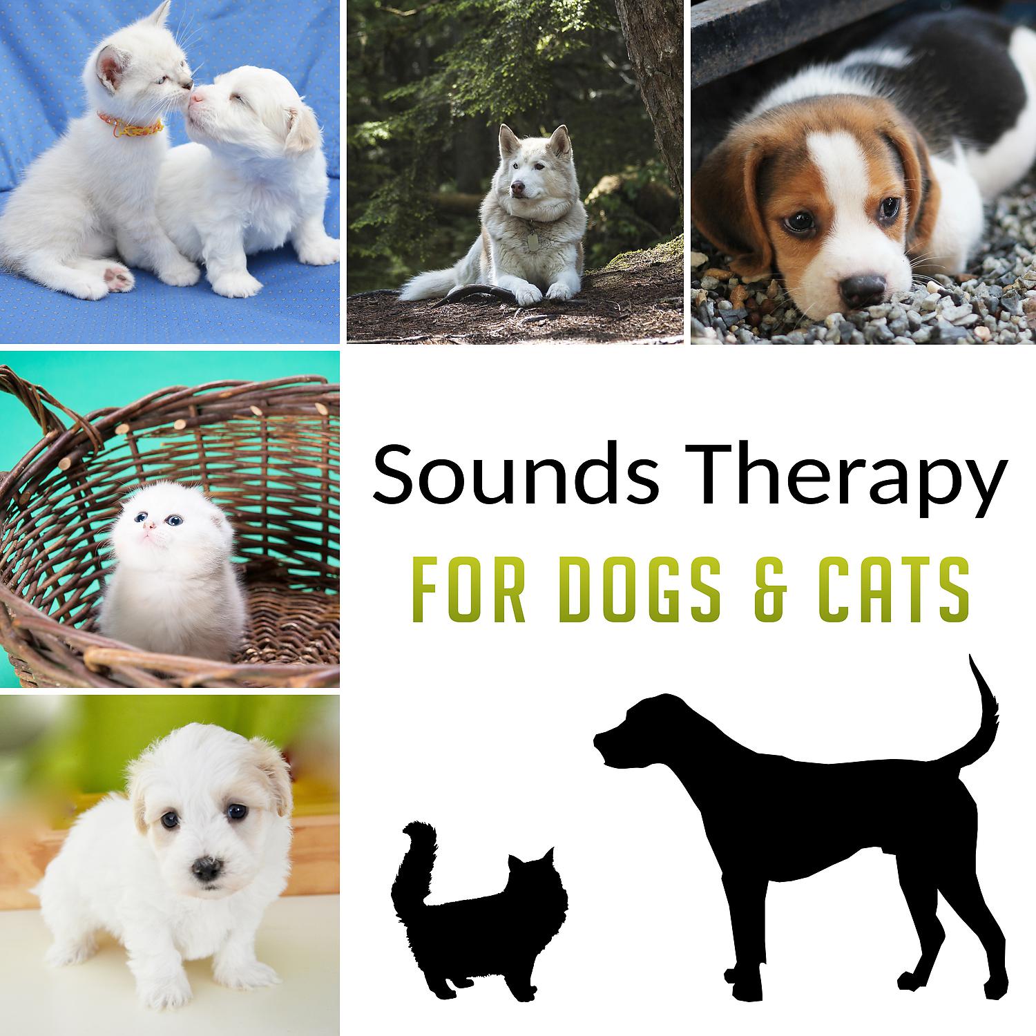 Постер альбома Sounds Therapy for Dogs & Cats: Music to Relax & Calm Down Your Pets, Stress Reduction, Anxiety Free, Nature Sounds for Pets Comfort