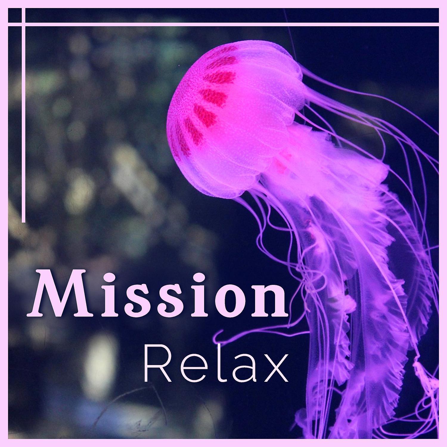 Постер альбома Mission: Relax - Musique anti stress, sons de paix, dose quotidienne du bonheur, harmonie apaisante