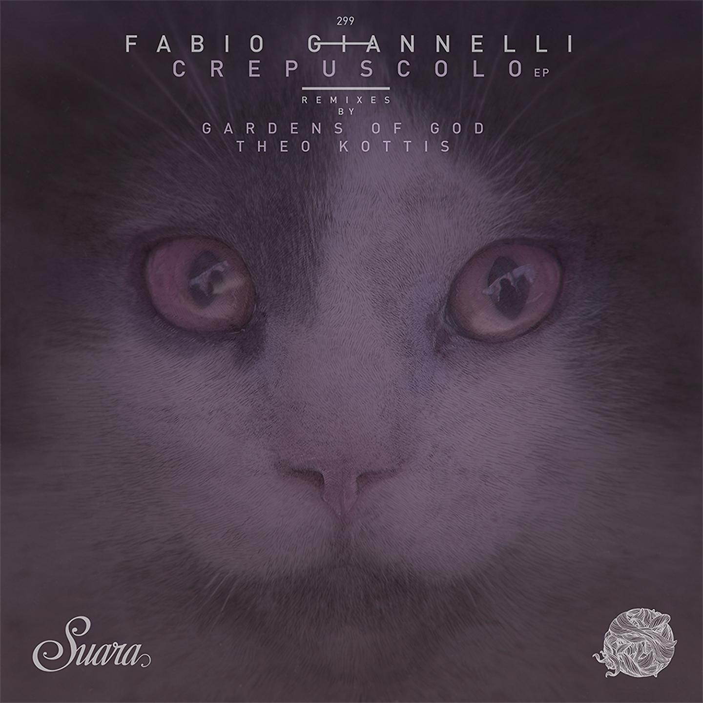 Fabio Giannelli - Accordition (Theo Kottis Remix)