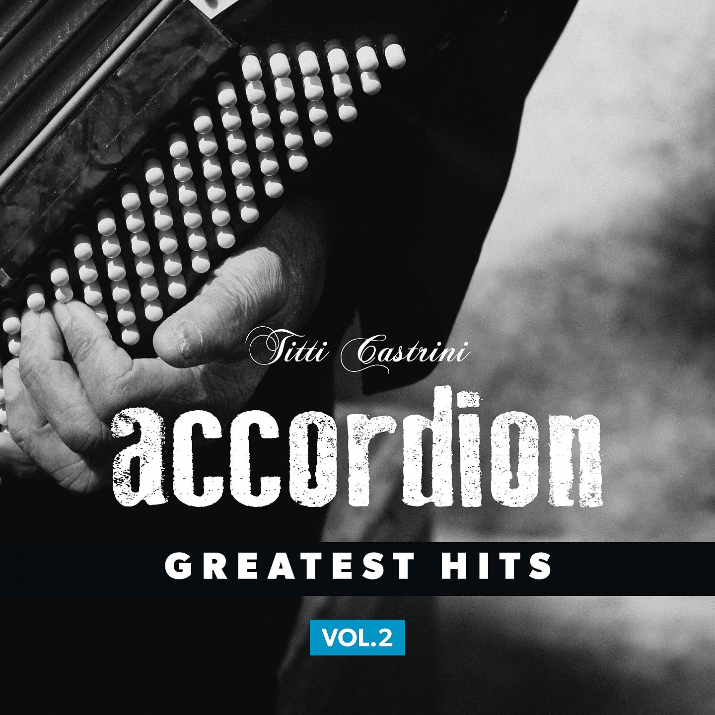 Постер альбома Accordion, Greatest Hits, Vol. 2