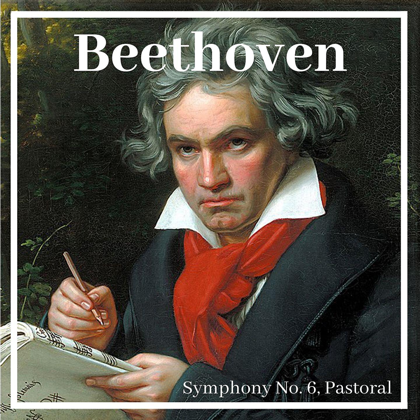 Orchestra da Camera Fiorentina - Symphony No. 6 in F Major, Op. 68 