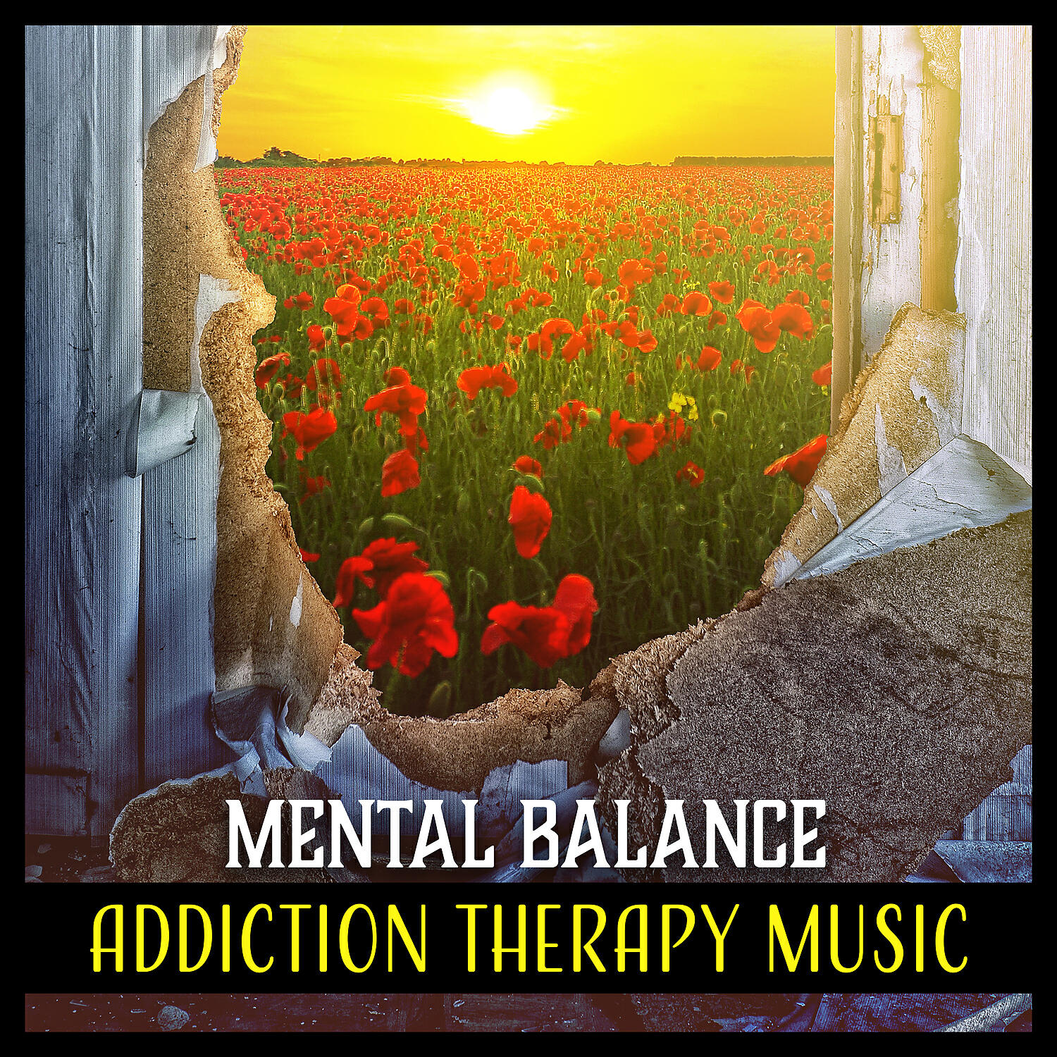 Therapeutic Music Zone - Body Detox