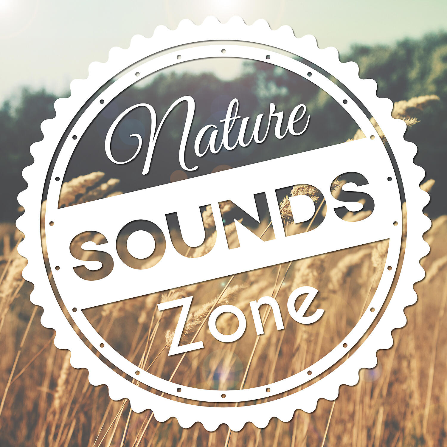 Kings of Nature - Rain Sounds