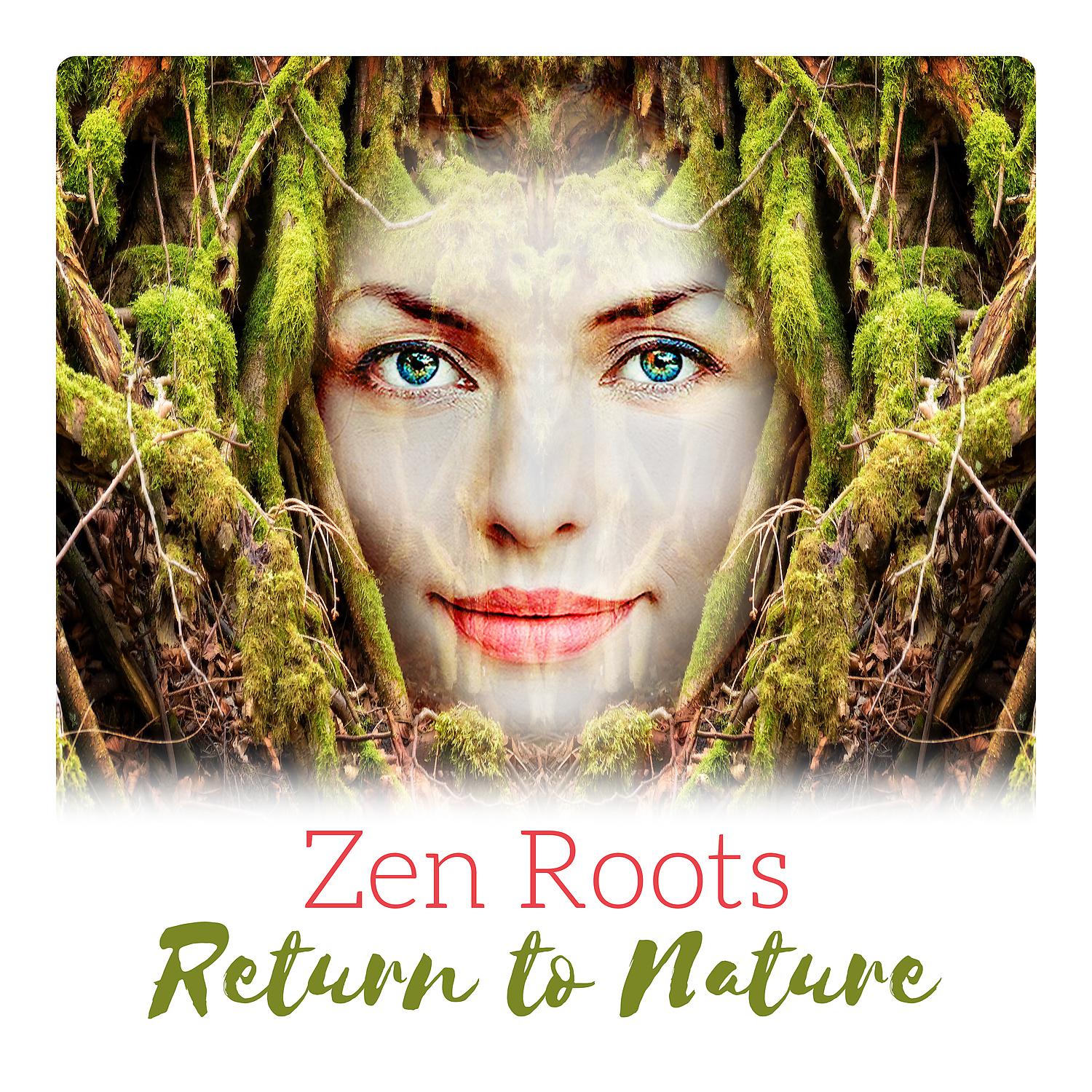Постер альбома Zen Roots - Return to Nature, Relax, Meditation, Yoga, Healing Music