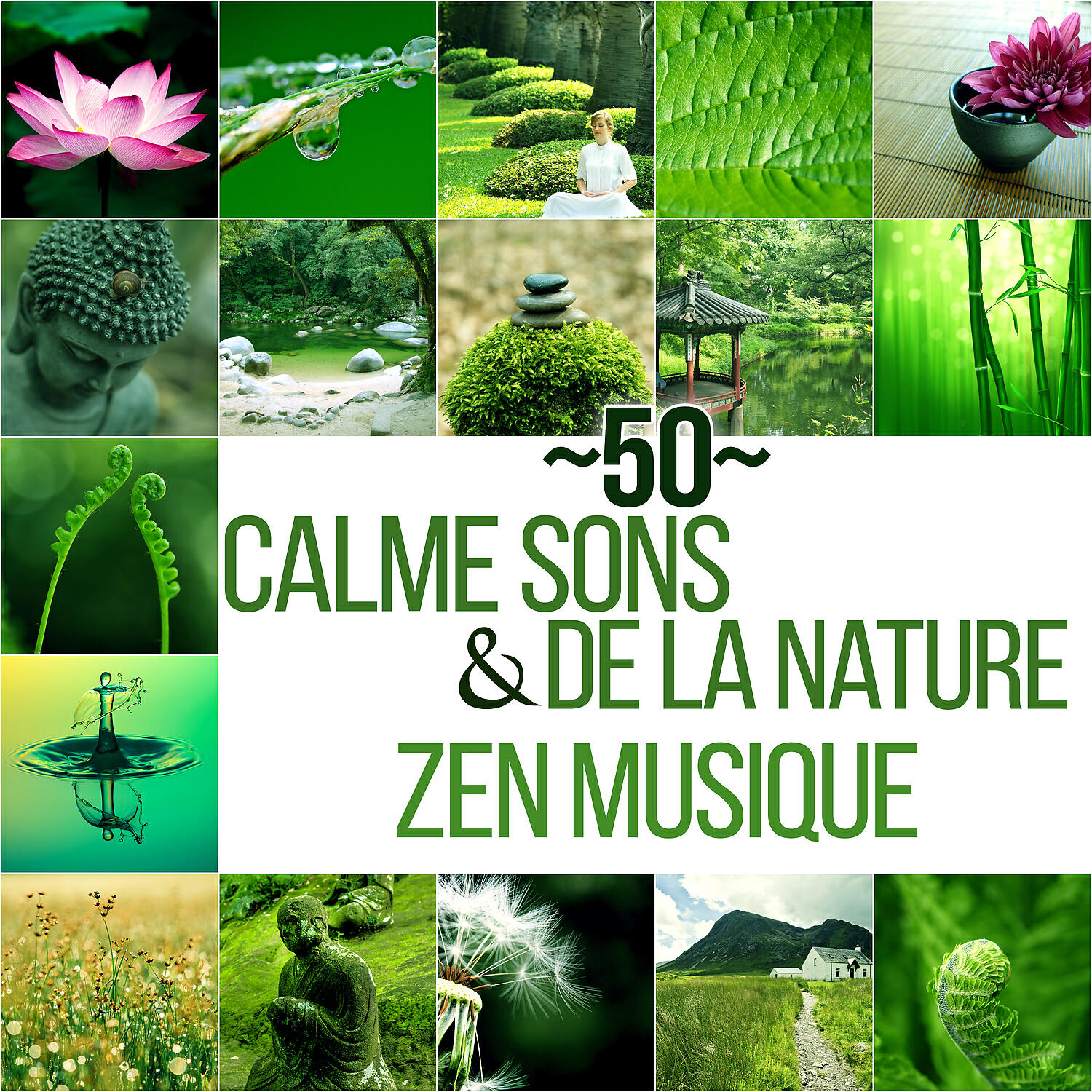 Just Relax Music Universe - Le jardin japonais