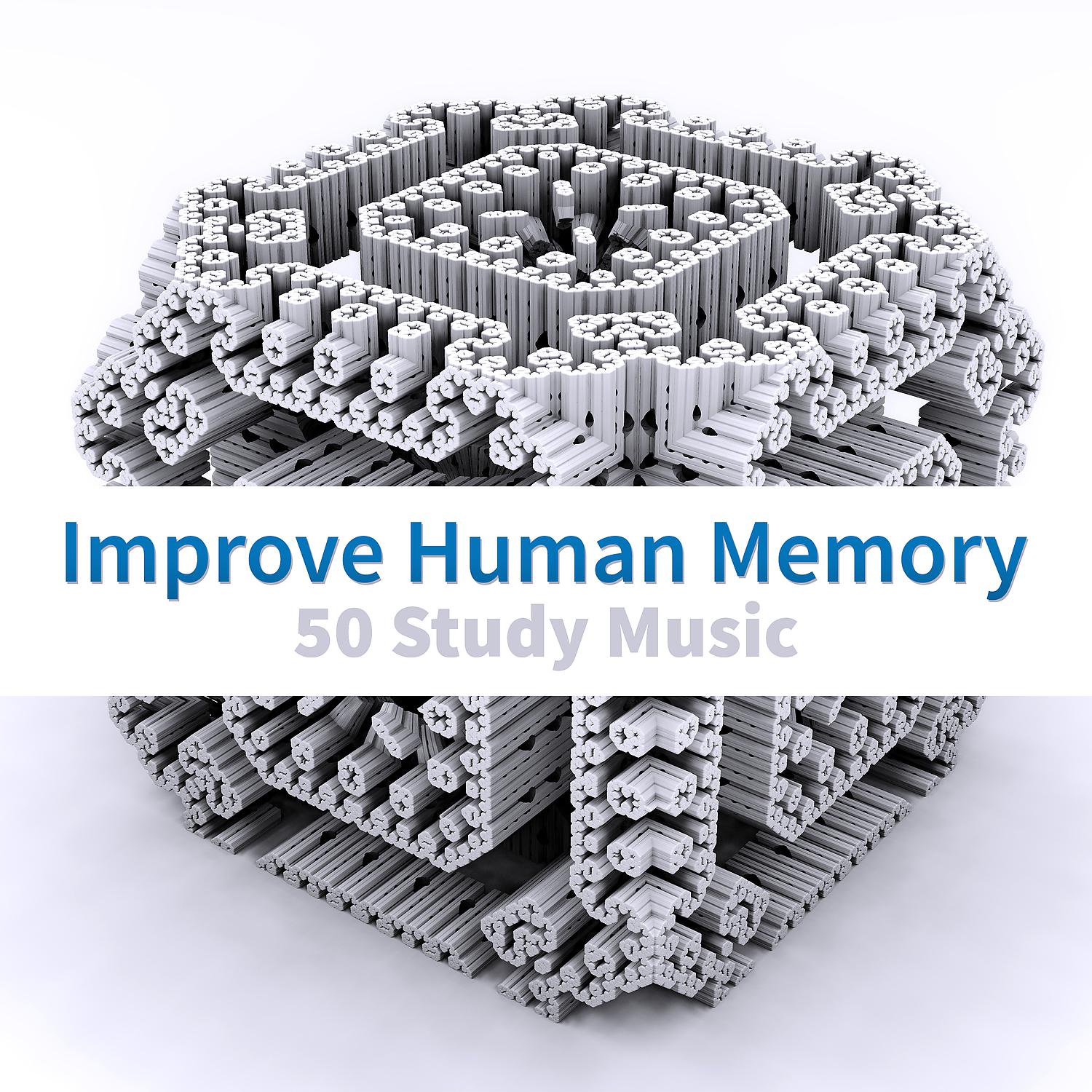 Постер альбома Improve Human Memory: 50 Study Music to Boost Your Concentration, Reducing Exam Anxiety, Brain Stimulation, Transform Your Thinking, Relaxation Meditation