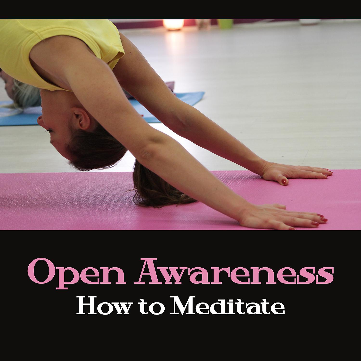 Постер альбома Open Awareness: How to Meditate - Aliveness of Sounds, Relaxing Back into Presence, Increase Calmness, Joy