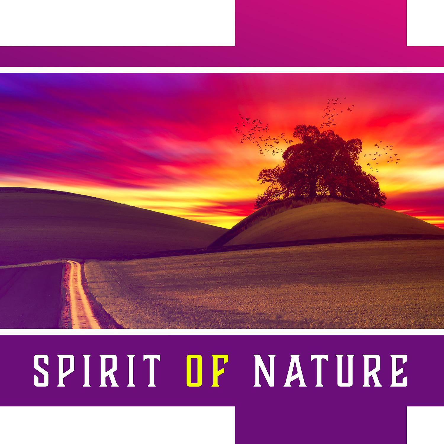 Постер альбома Spirit of Nature: Sounds for Tired Senses, Return to Harmony, Smart Relax, Earth Soul, Healing Music, Peaceful Oasis