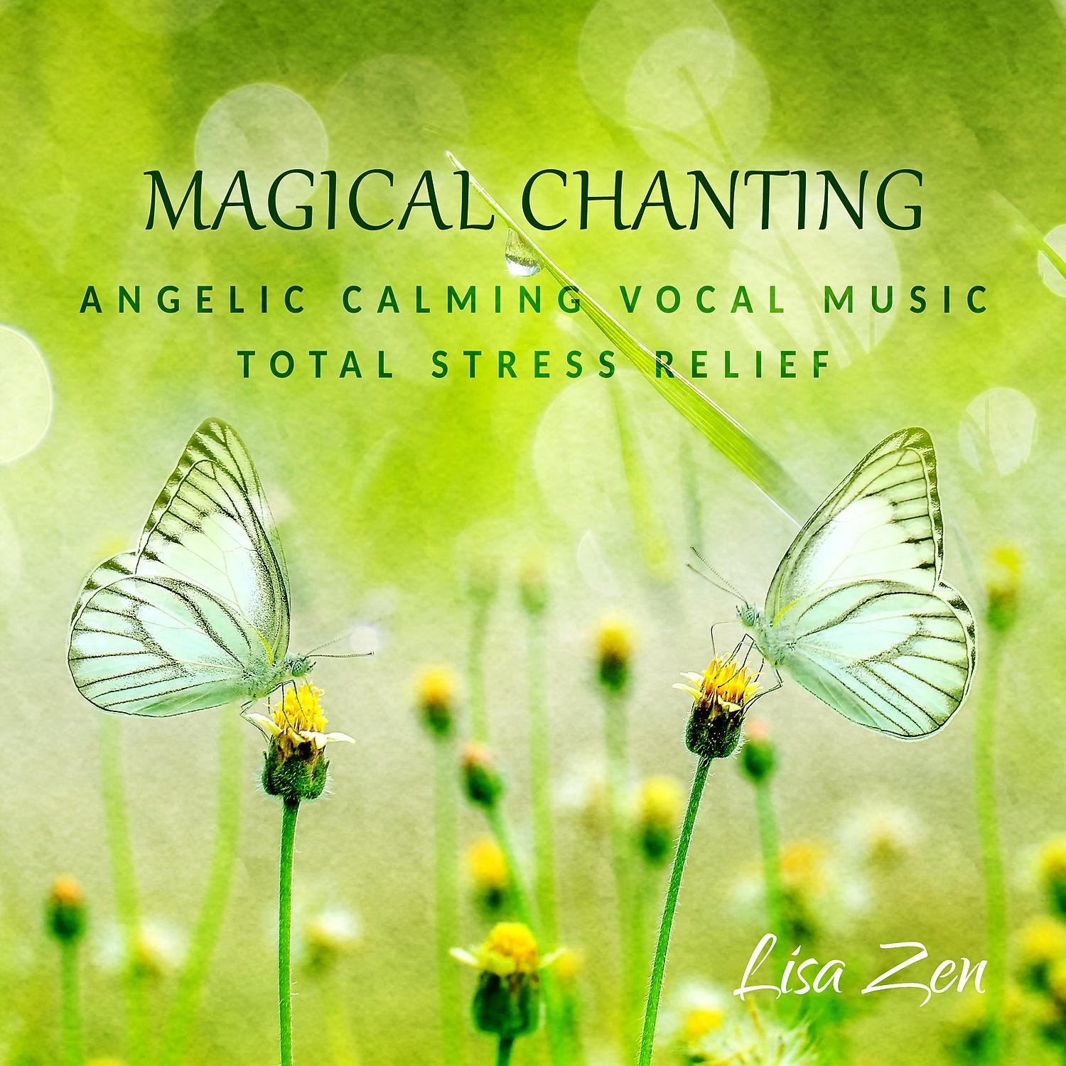 Постер альбома Magical Chanting: Angelic Calming Vocal Music to Heal Your Soul, Total Stress Relief, Relax, Yoga, Meditation, Massage
