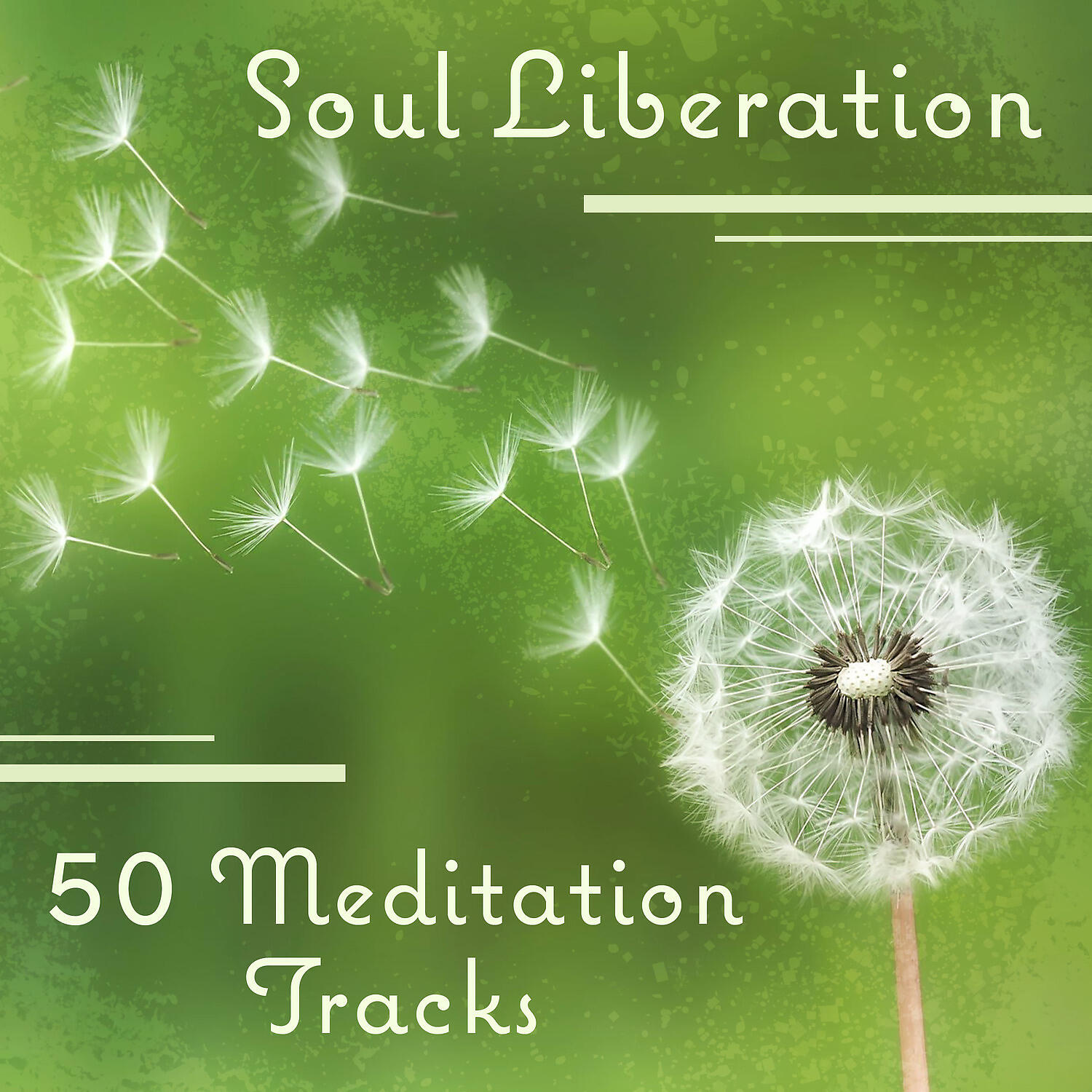 Stress Relief Calm Oasis - Inner Spaces of Your Body