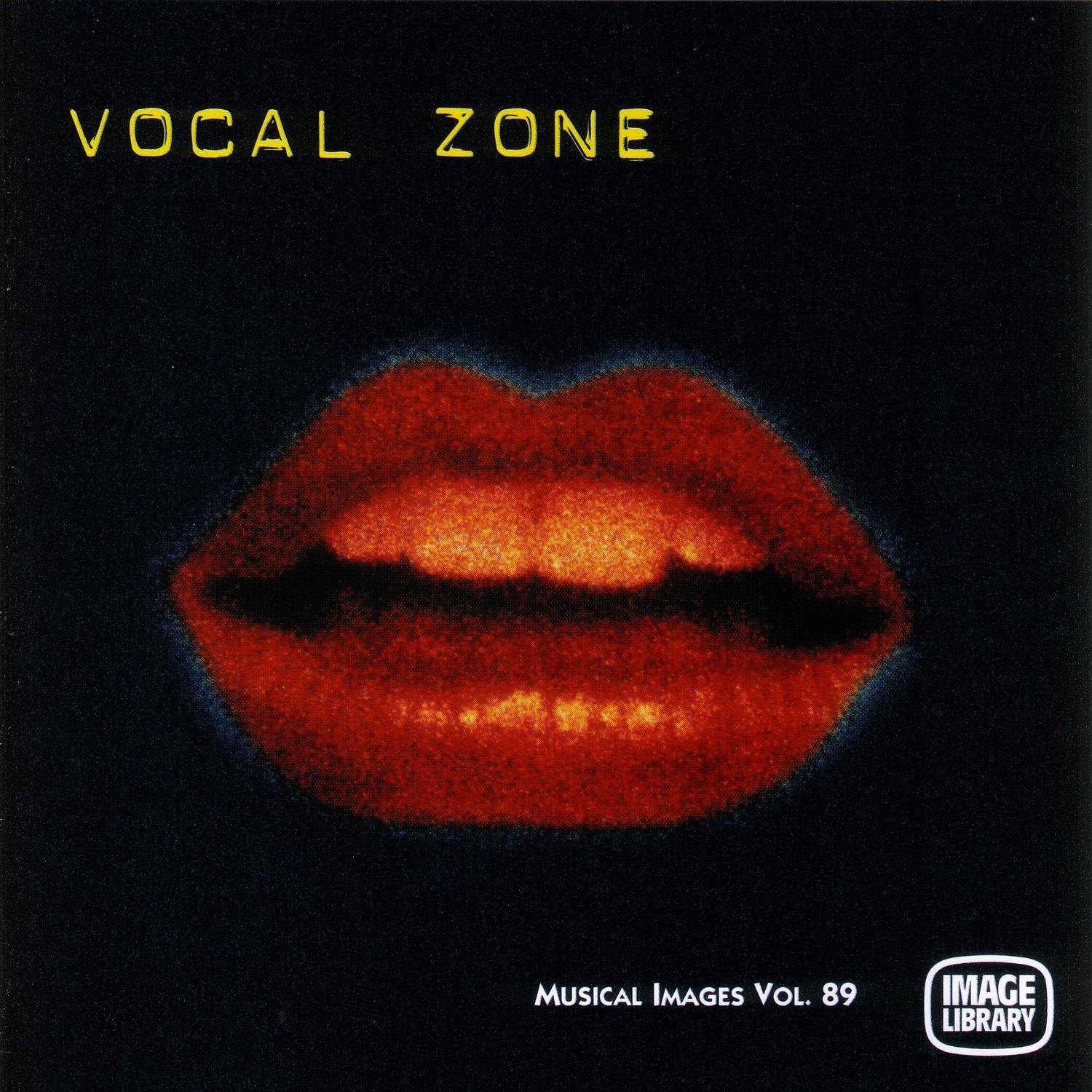 Постер альбома Vocal Zone