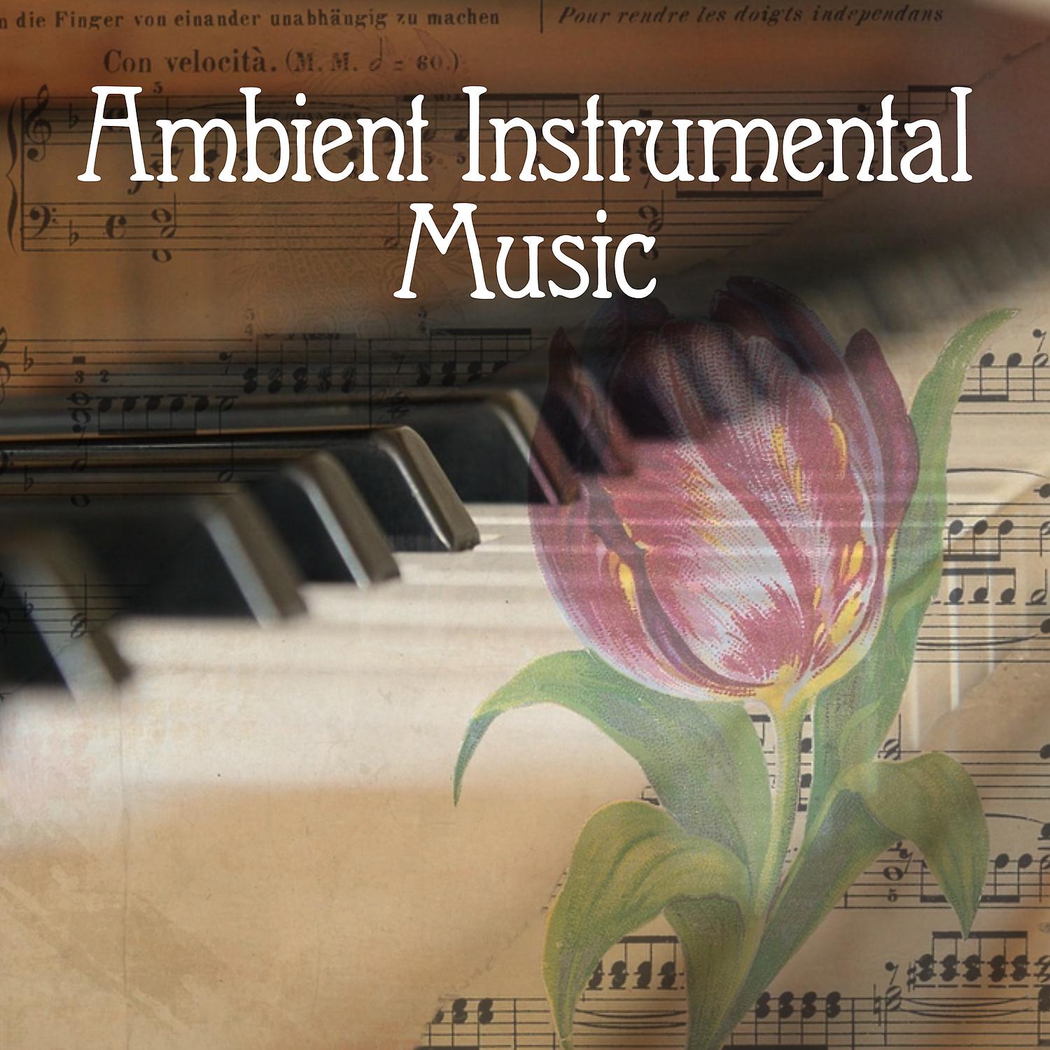 Постер альбома Ambient Instrumental Music