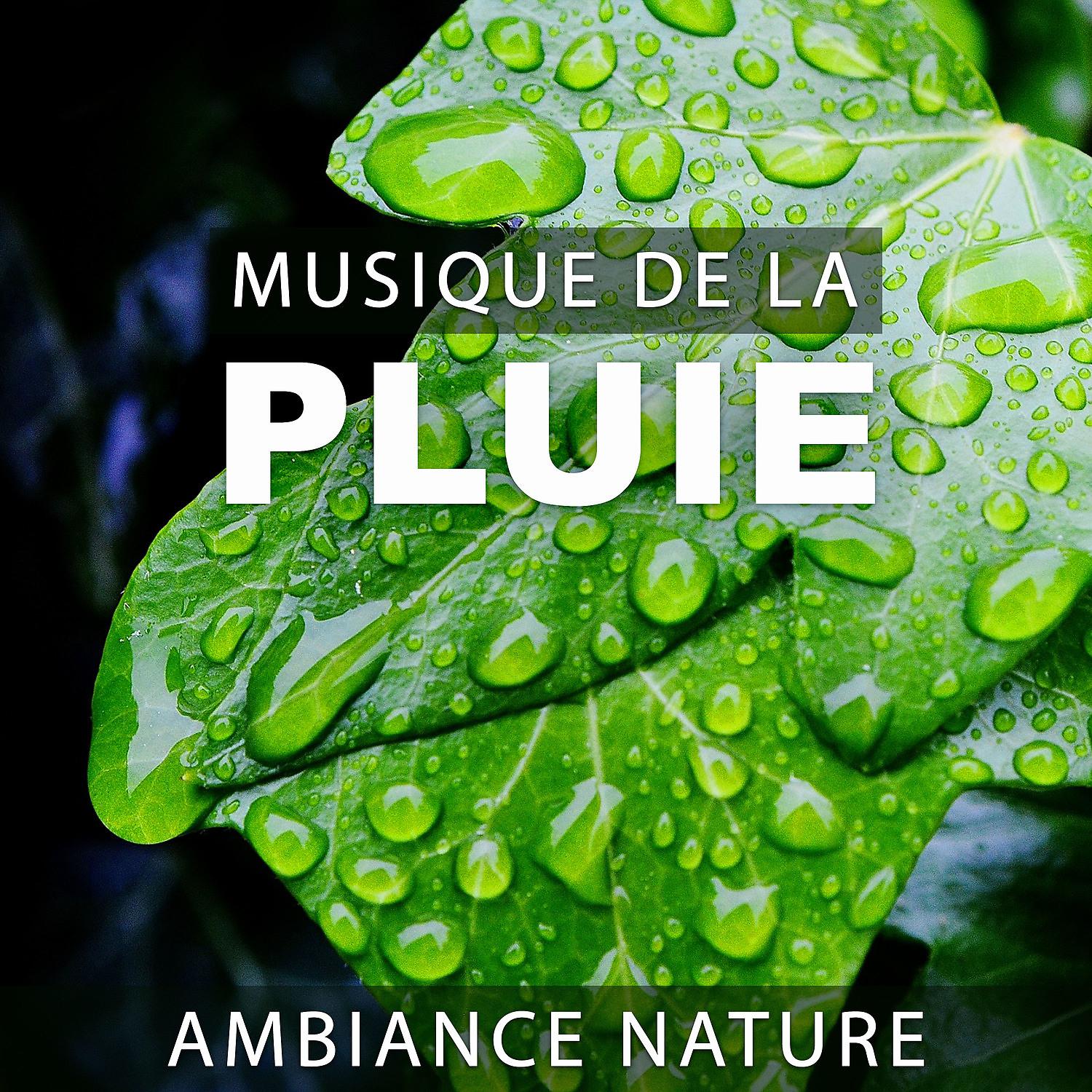 Постер альбома Musique de la pluie: Ambiance nature - La guérison de l'eau, Musiques relaxantes, Zen chillout (101 Minutes)