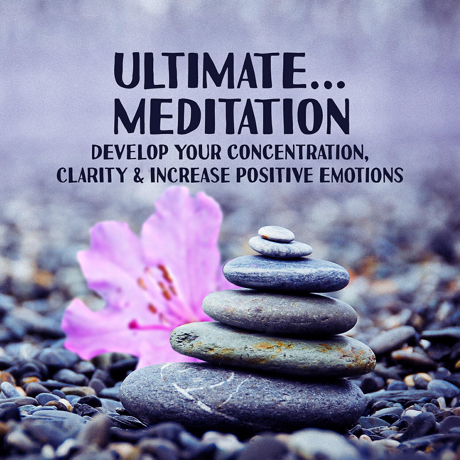 Relaxation Meditation Songs Divine - Mind Experience
