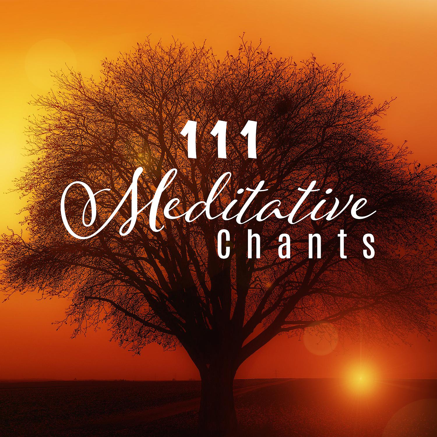 Постер альбома 111 Meditative Chants: Tibetan, Zen, Buddhist, Reiki & Shamanic Music, Healing Sounds for Mind, Body, Soul, Inner Harmony & Balance