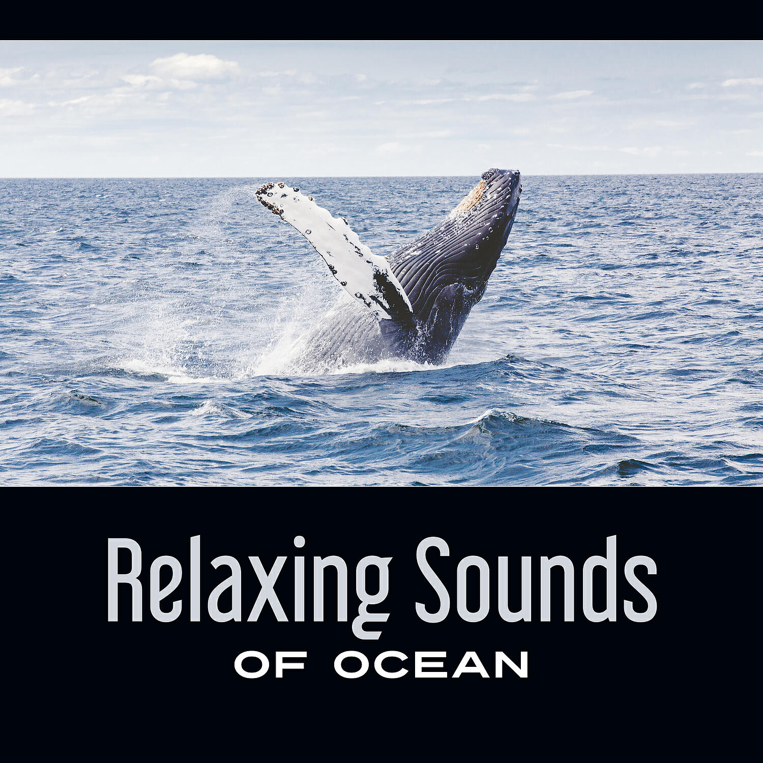 Soothing Ocean Waves Universe - Piano & Ocean