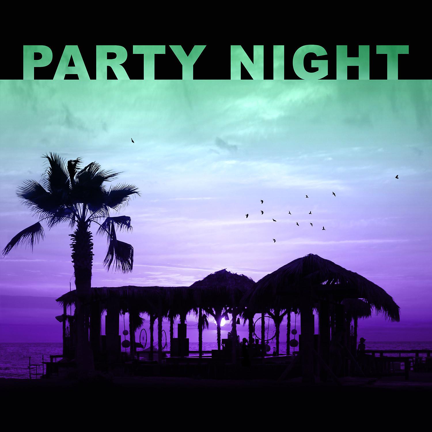 Постер альбома Party Night – Have Fun All Night, Chill Out Music, Party Sounds, Ibiza Party