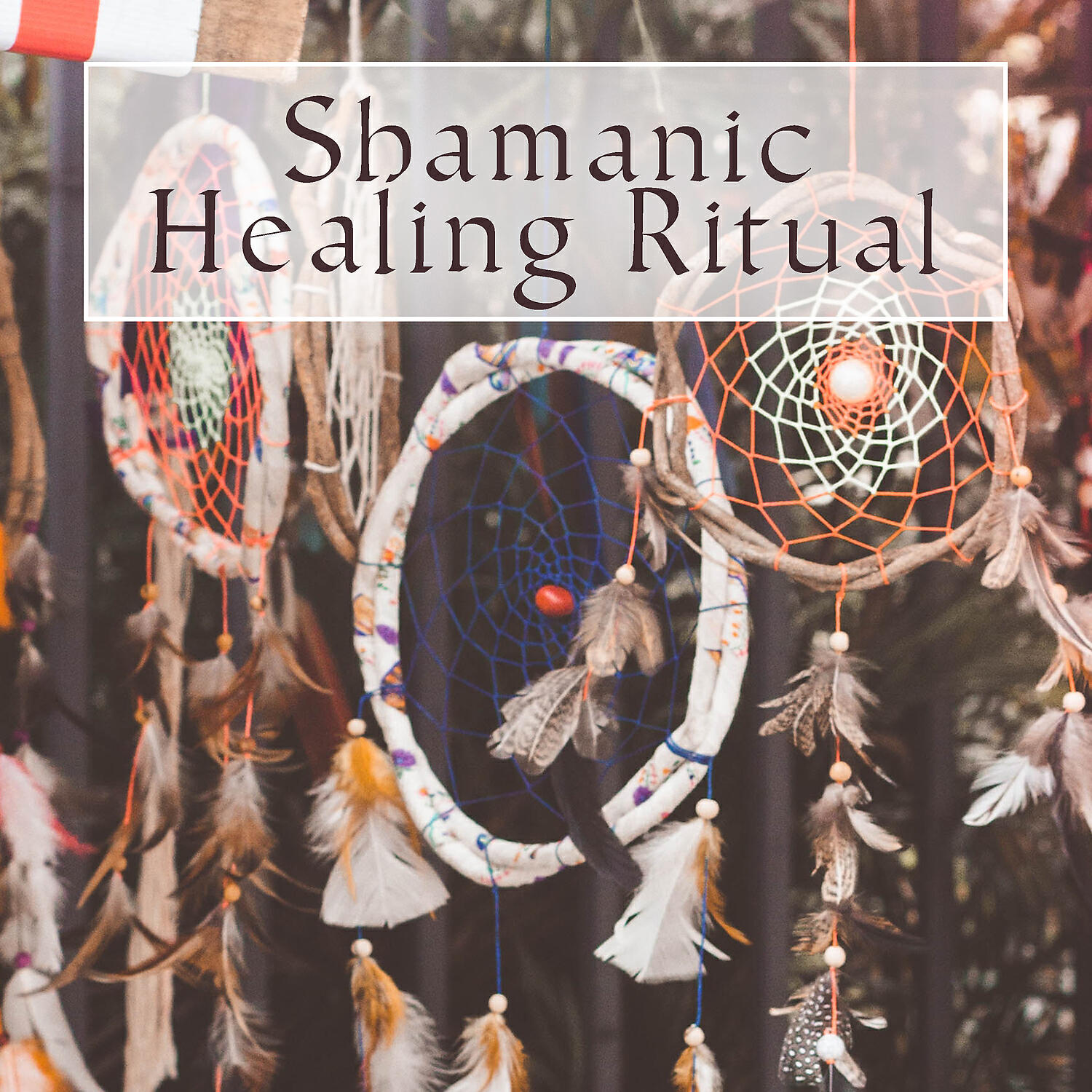 Native American Music Consort - Ritual of Purification